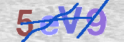CAPTCHA (Şahıs Denetim Kodu) Resmi