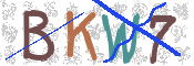 CAPTCHA (Şahıs Denetim Kodu) Resmi