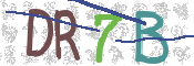 CAPTCHA (Şahıs Denetim Kodu) Resmi