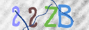 CAPTCHA (Şahıs Denetim Kodu) Resmi