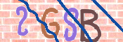 CAPTCHA (Şahıs Denetim Kodu) Resmi