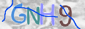 CAPTCHA (Şahıs Denetim Kodu) Resmi