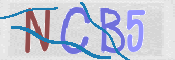 CAPTCHA (Şahıs Denetim Kodu) Resmi