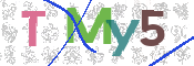 CAPTCHA (Şahıs Denetim Kodu) Resmi