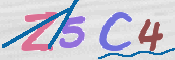CAPTCHA (Şahıs Denetim Kodu) Resmi
