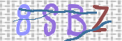 CAPTCHA (Şahıs Denetim Kodu) Resmi