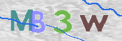 CAPTCHA (Şahıs Denetim Kodu) Resmi