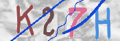 CAPTCHA (Şahıs Denetim Kodu) Resmi