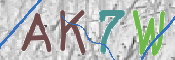 CAPTCHA (Şahıs Denetim Kodu) Resmi