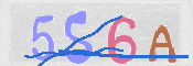 CAPTCHA (Şahıs Denetim Kodu) Resmi