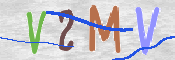 CAPTCHA (Şahıs Denetim Kodu) Resmi