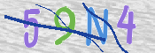 CAPTCHA (Şahıs Denetim Kodu) Resmi