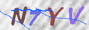 CAPTCHA (Şahıs Denetim Kodu) Resmi