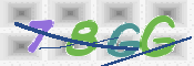 CAPTCHA (Şahıs Denetim Kodu) Resmi