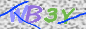 CAPTCHA (Şahıs Denetim Kodu) Resmi