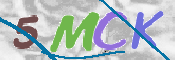 CAPTCHA (Şahıs Denetim Kodu) Resmi