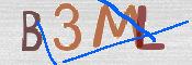 CAPTCHA (Şahıs Denetim Kodu) Resmi