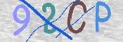 CAPTCHA (Şahıs Denetim Kodu) Resmi