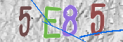 CAPTCHA (Şahıs Denetim Kodu) Resmi