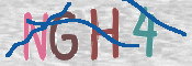 CAPTCHA (Şahıs Denetim Kodu) Resmi