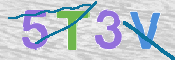 CAPTCHA (Şahıs Denetim Kodu) Resmi