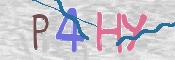 CAPTCHA (Şahıs Denetim Kodu) Resmi