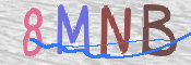 CAPTCHA (Şahıs Denetim Kodu) Resmi