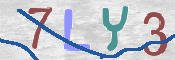 CAPTCHA (Şahıs Denetim Kodu) Resmi