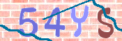 CAPTCHA (Şahıs Denetim Kodu) Resmi