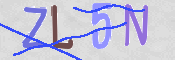 CAPTCHA (Şahıs Denetim Kodu) Resmi