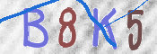 CAPTCHA (Şahıs Denetim Kodu) Resmi