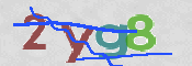 CAPTCHA (Şahıs Denetim Kodu) Resmi