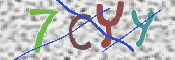 CAPTCHA (Şahıs Denetim Kodu) Resmi