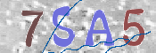 CAPTCHA (Şahıs Denetim Kodu) Resmi