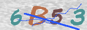 CAPTCHA (Şahıs Denetim Kodu) Resmi