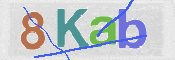 CAPTCHA (Şahıs Denetim Kodu) Resmi
