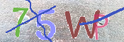 CAPTCHA (Şahıs Denetim Kodu) Resmi