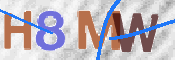 CAPTCHA (Şahıs Denetim Kodu) Resmi