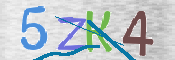 CAPTCHA (Şahıs Denetim Kodu) Resmi