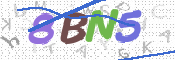 CAPTCHA (Şahıs Denetim Kodu) Resmi