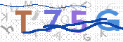 CAPTCHA (Şahıs Denetim Kodu) Resmi