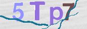 CAPTCHA (Şahıs Denetim Kodu) Resmi