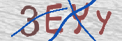 CAPTCHA (Şahıs Denetim Kodu) Resmi