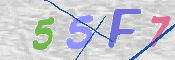 CAPTCHA (Şahıs Denetim Kodu) Resmi