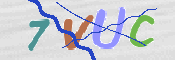 CAPTCHA (Şahıs Denetim Kodu) Resmi